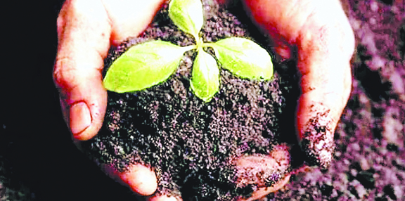 जैव उर्वरक
