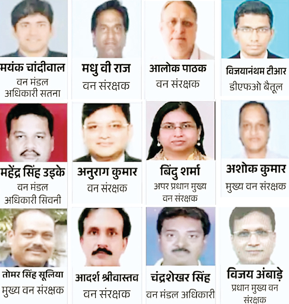 आईएफएस अफसर