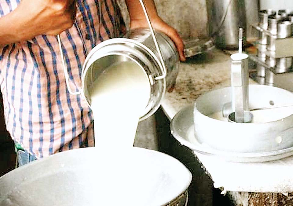 दूध खरीदी
