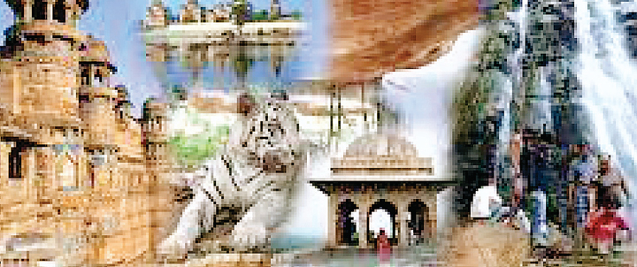 अतिथि देवो भव: