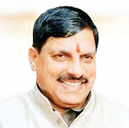 फ्रोजन आलू उत्पाद