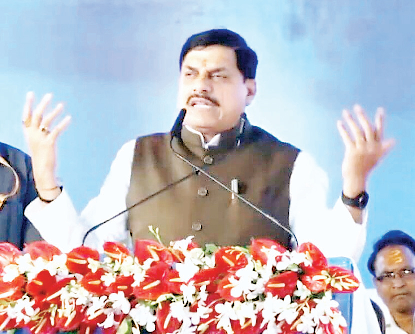 बगिया माँ 