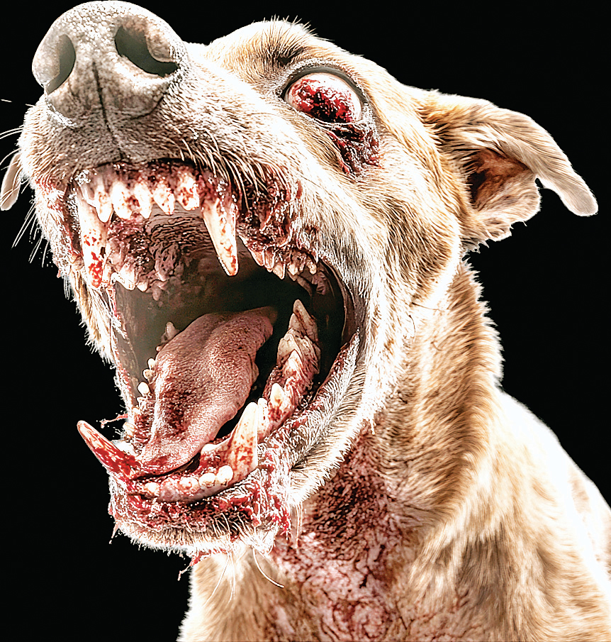 डॉग बाइट