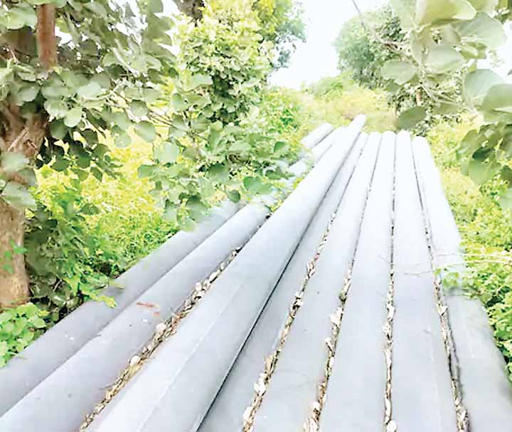 सिंचाई परियोजना