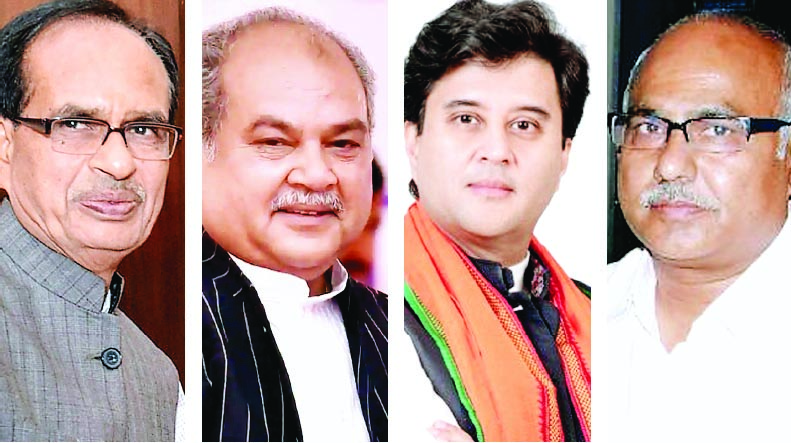 सरकार और संगठन