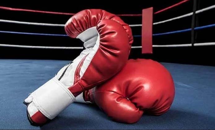 विश्व मुक्केबाजी 