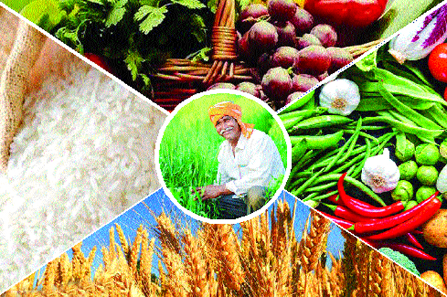 फूड-बास्केट