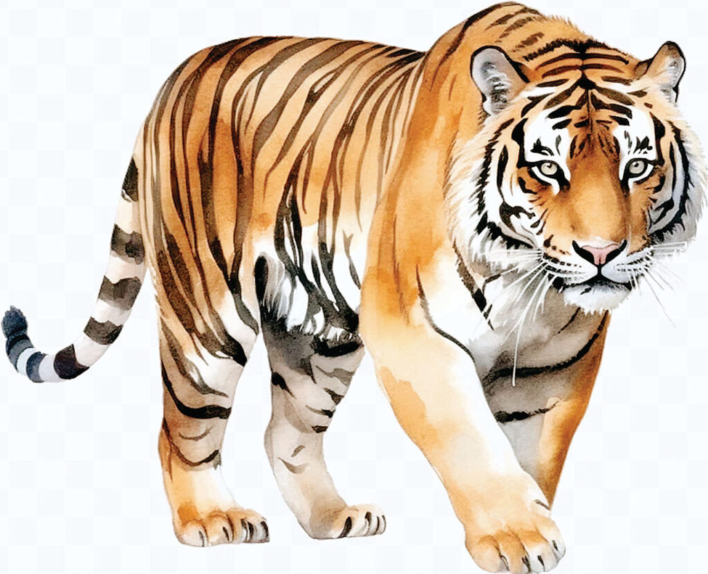 बाघों की सुरक्षा