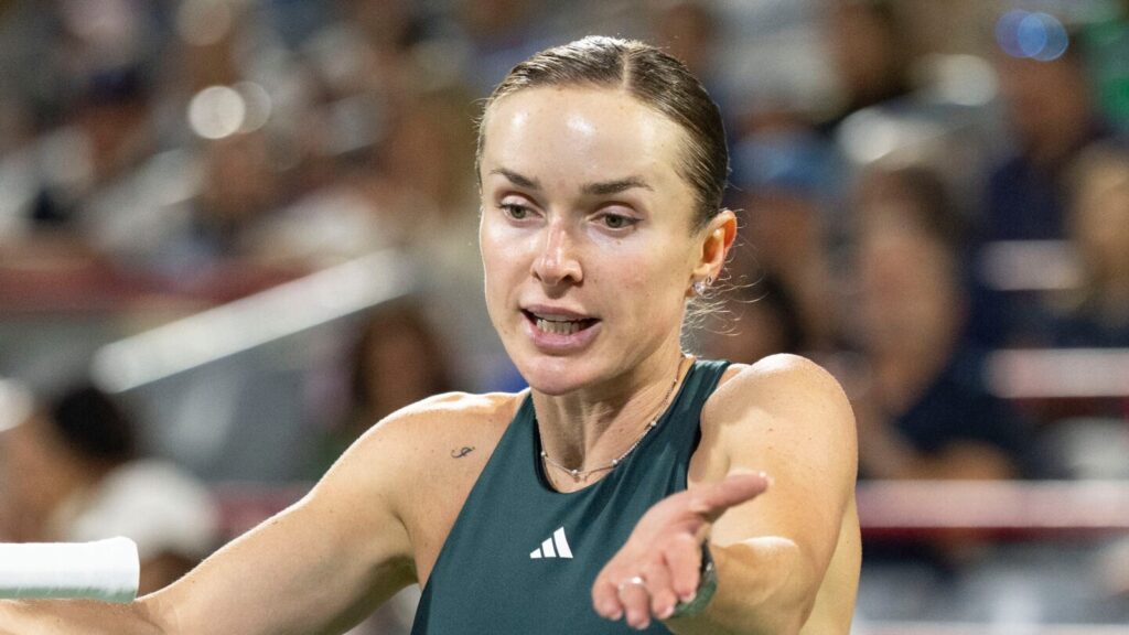 एलिना स्वितोलिना