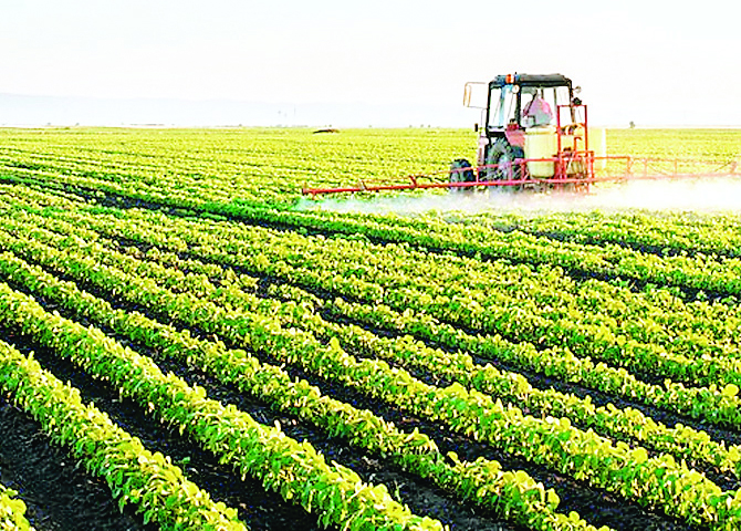 कृषि फार्म