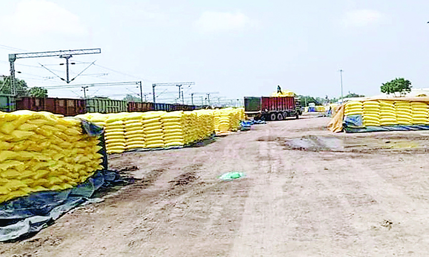  एमटी खाद