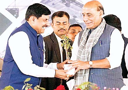 बीज से बाजार