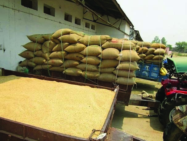 राइस मिलों