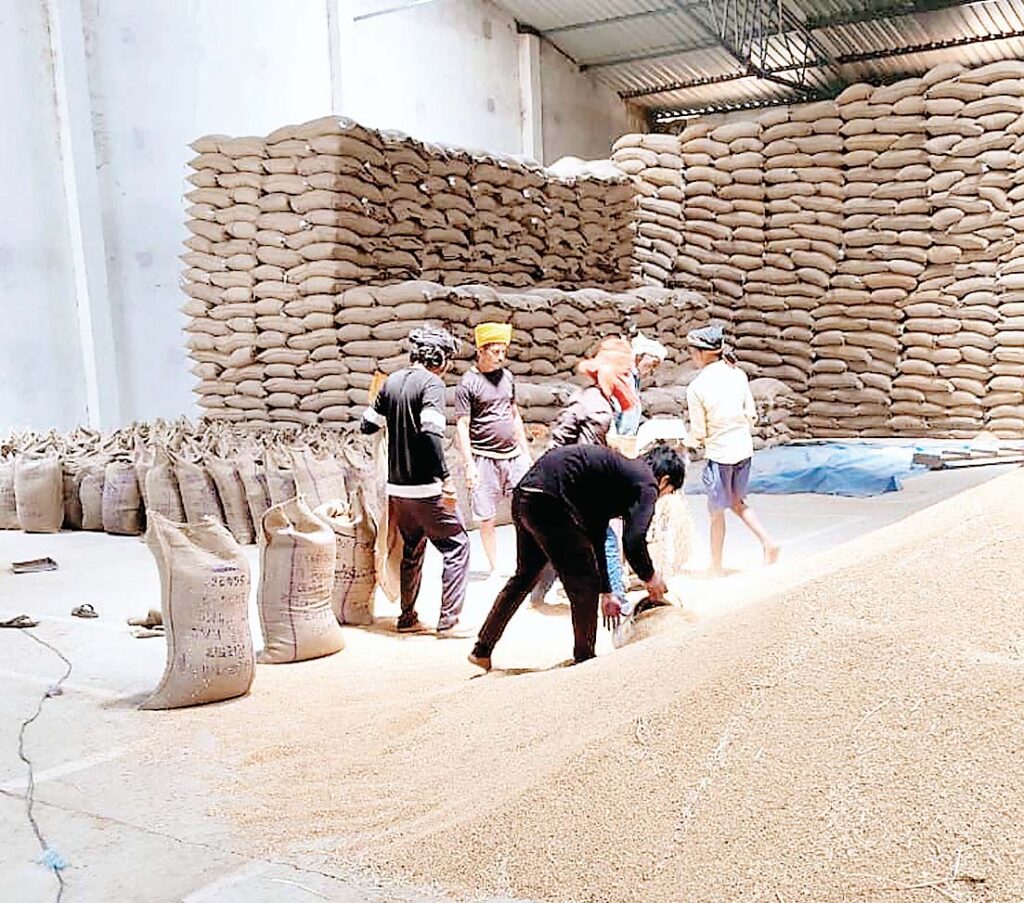 गेहूं खरीदी