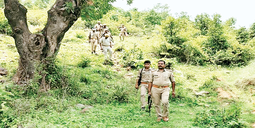 वन विभाग