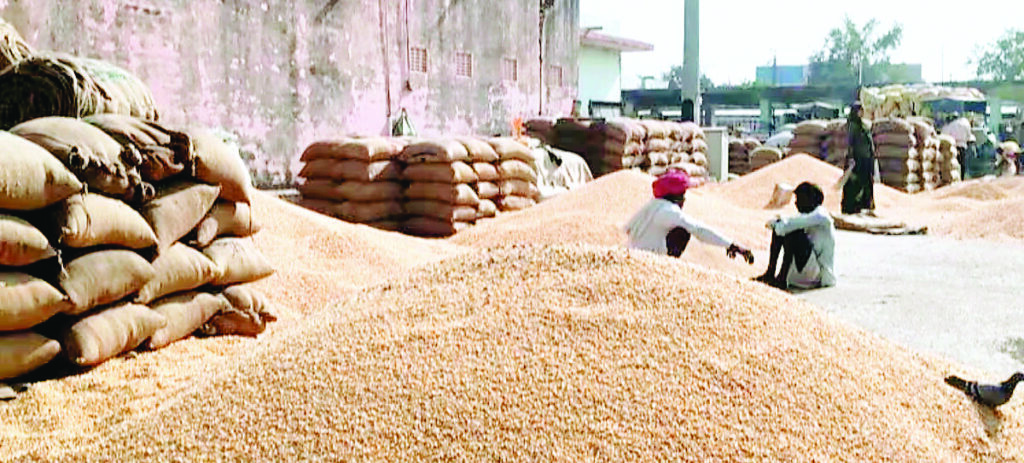 पुनर्सत्यापन