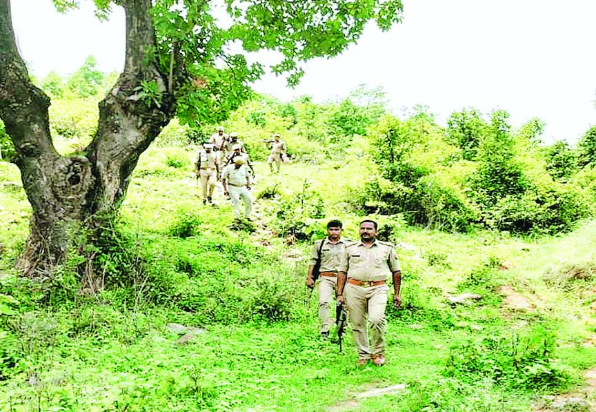 वनकर्मी 