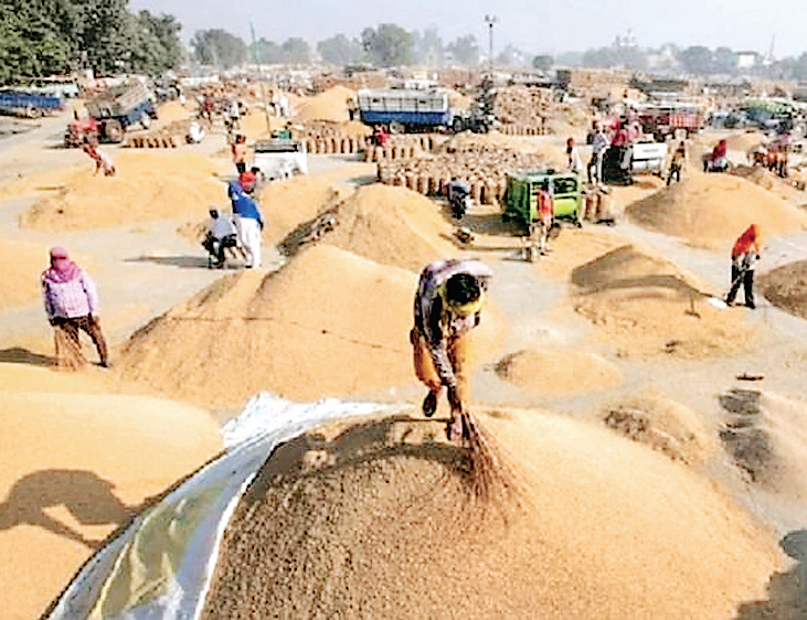 गेहूं खरीदी