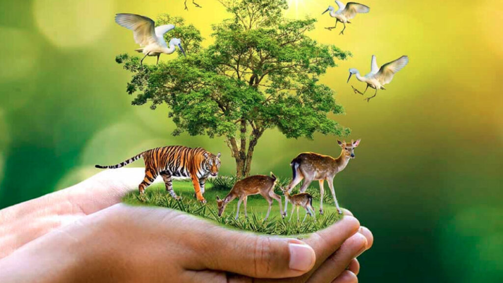 अभयारण्यों