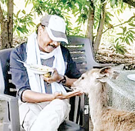 एसडीओ फॉरेस्ट 