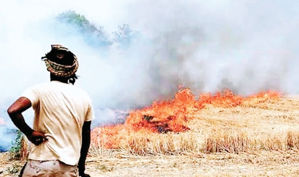 आग की घटनाएं