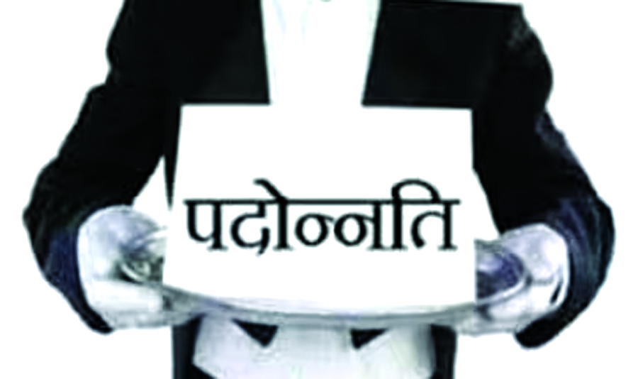 मंडल संवर्ग