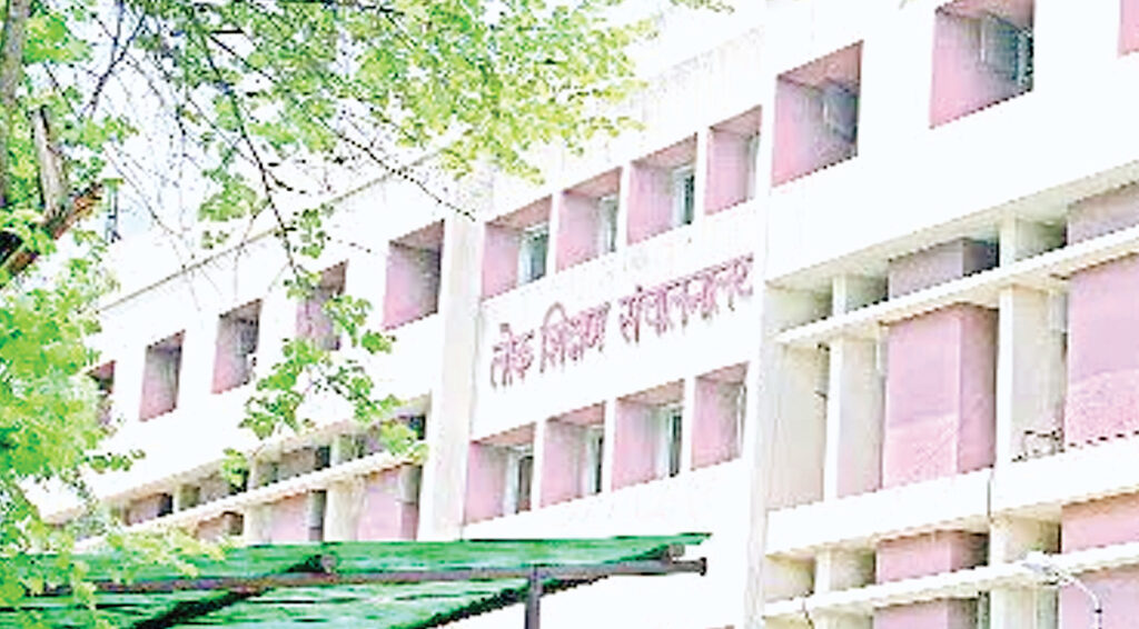 अकारण सेवा